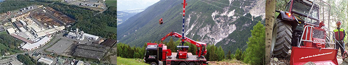 2016 Austria林業と木質バイオマス利用熱供給事業